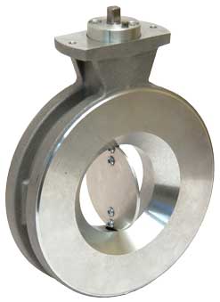 DN80 Wafer Butterfly Valve