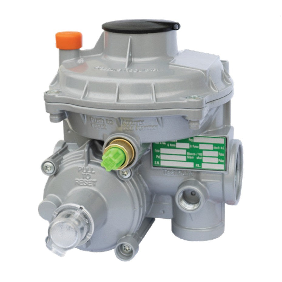 FE25 BP 25m3/hr Double Diaphragm 2.75kPa