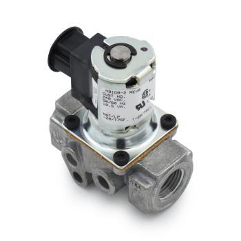 BASO Baso H91DB-2 -  ½ inch 240 Volt Valve Gas Valve Valves