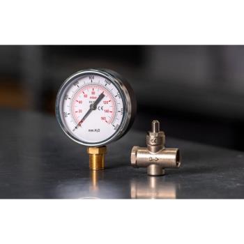 Elektrogas P/Gauge 0-1bar 1/4in Bottom Entry 63mm Pressure Switch Pressure Switches